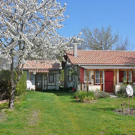 Guesthouse La Burle Parentis-en-Born Oda fotoğraf