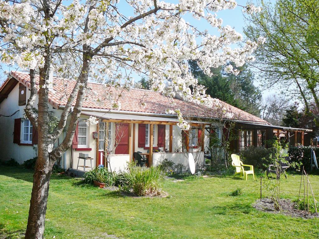 Guesthouse La Burle Parentis-en-Born Oda fotoğraf