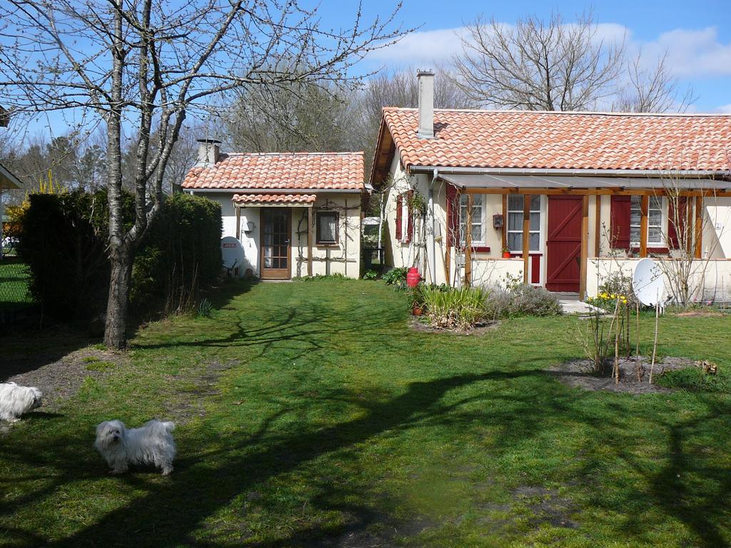 Guesthouse La Burle Parentis-en-Born Oda fotoğraf