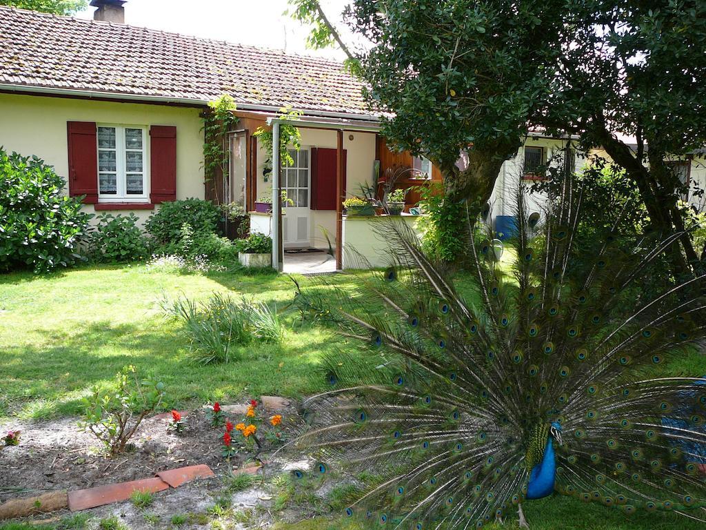 Guesthouse La Burle Parentis-en-Born Dış mekan fotoğraf
